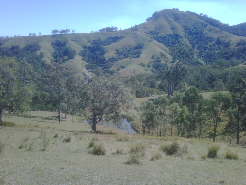 Ideal Cattle Grazing Property Picture 1