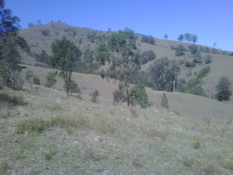 Ideal Cattle Grazing Property Picture 3