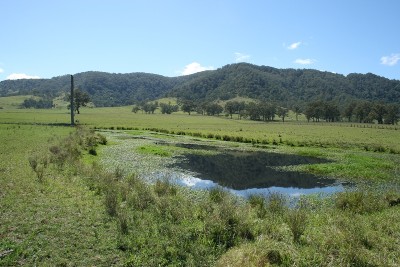 Postcard Perfect Picture Postcard Perfect Picture