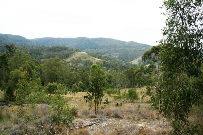 Peaceful and Private Weekender Picture 1