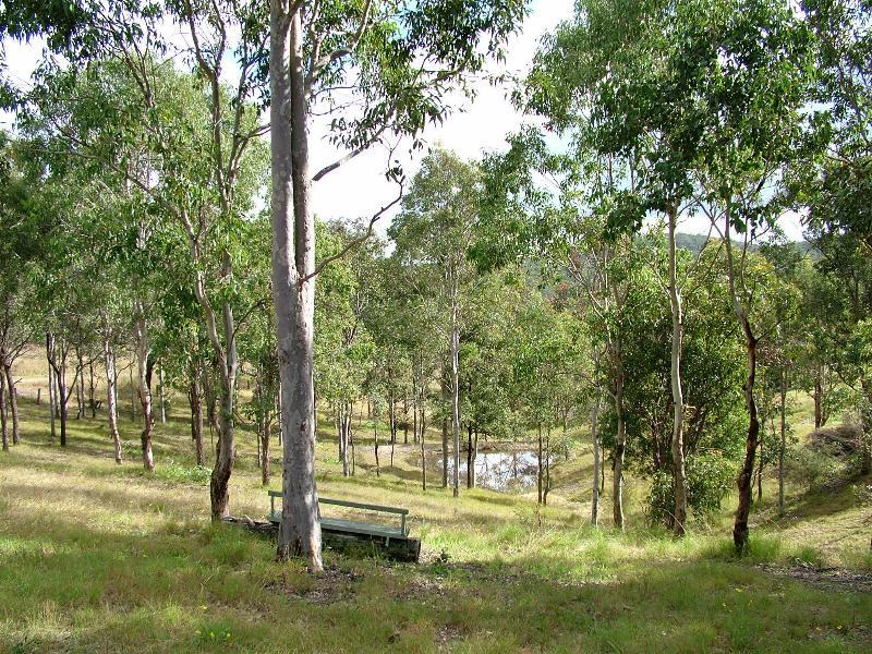 Vacant Block on the Edge of Town Picture 3