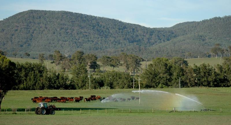 In the heart of the Hunter Valley Picture 2