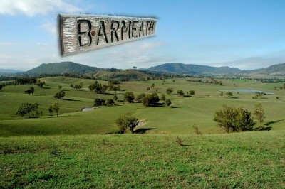 In the heart of the Hunter Valley Picture