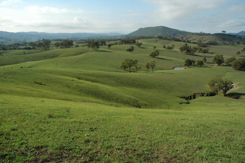 In the heart of the Hunter Valley Picture 3