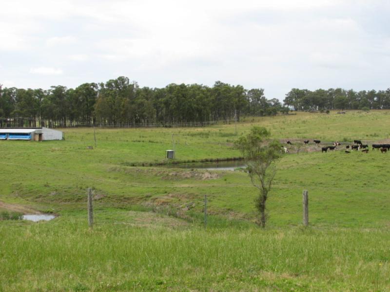 A Rare Opportunity Picture 1