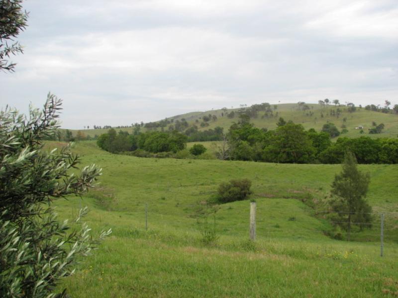 A Rare Opportunity Picture 2