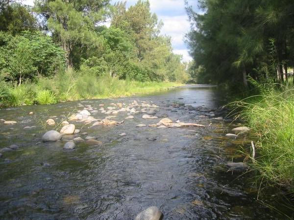 River Frontage - PRICE REDUCED !!!!!!! Picture