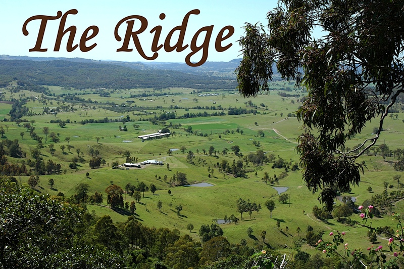 A Symphony of Style Picture 2