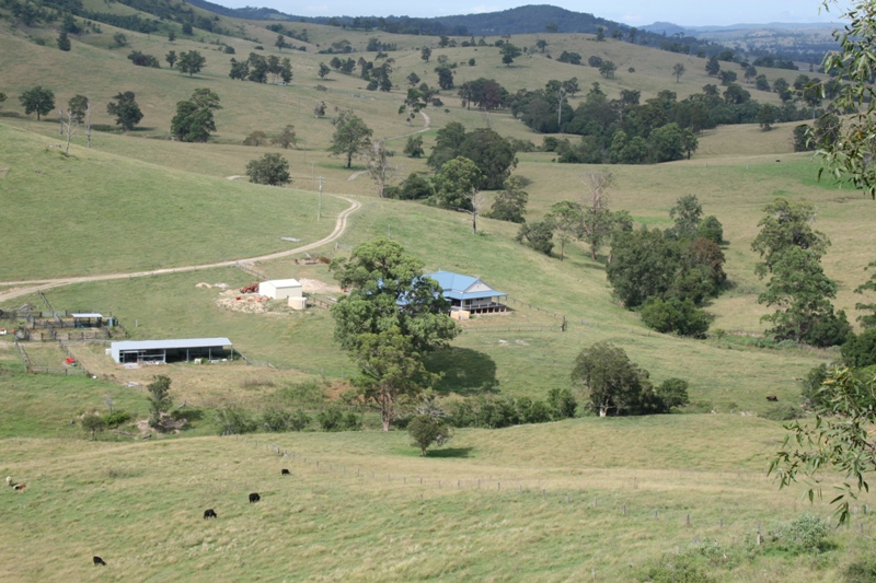 A Statement in Elegance Picture 2