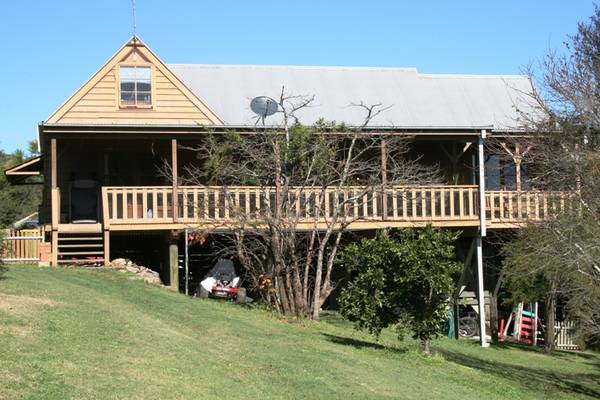 Dungog Available Now Picture 1