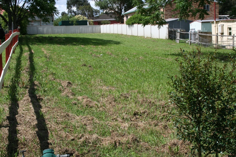 Vacant Building Block Picture 2