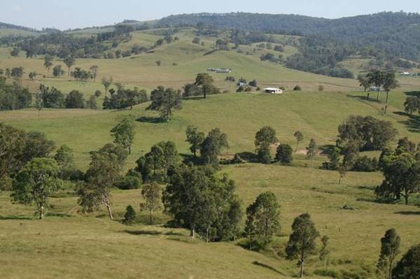 Pick of the crop! Picture 2