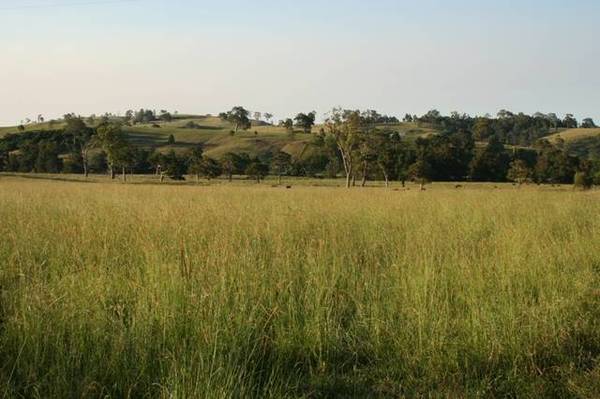 Pick of the crop! Picture 1