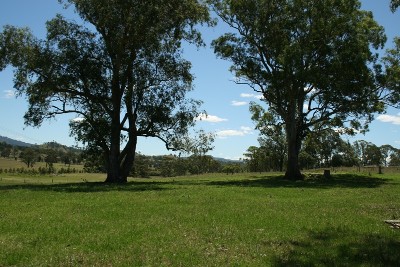 Ideal For Horse/Cattle Enthusiasts Picture