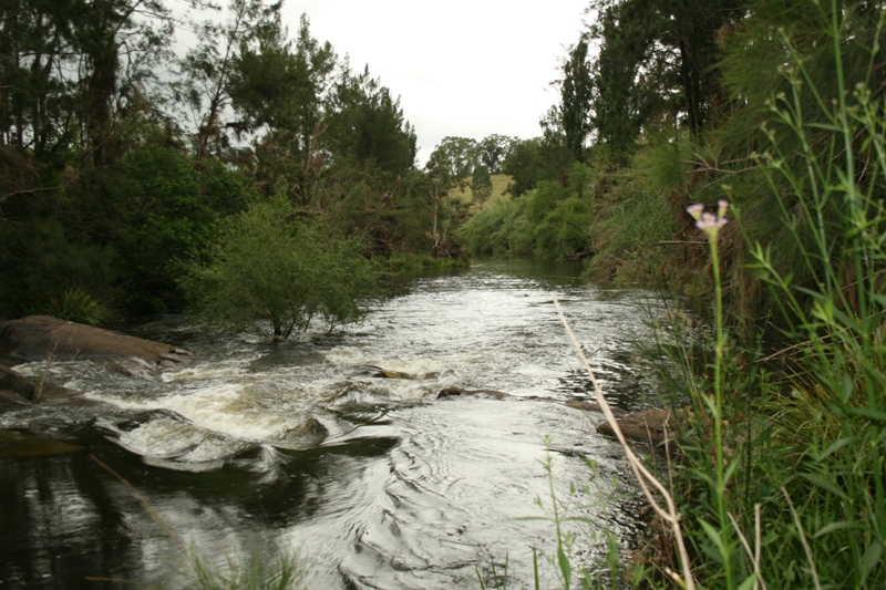 Ideal For Horse/Cattle Enthusiasts Picture 2