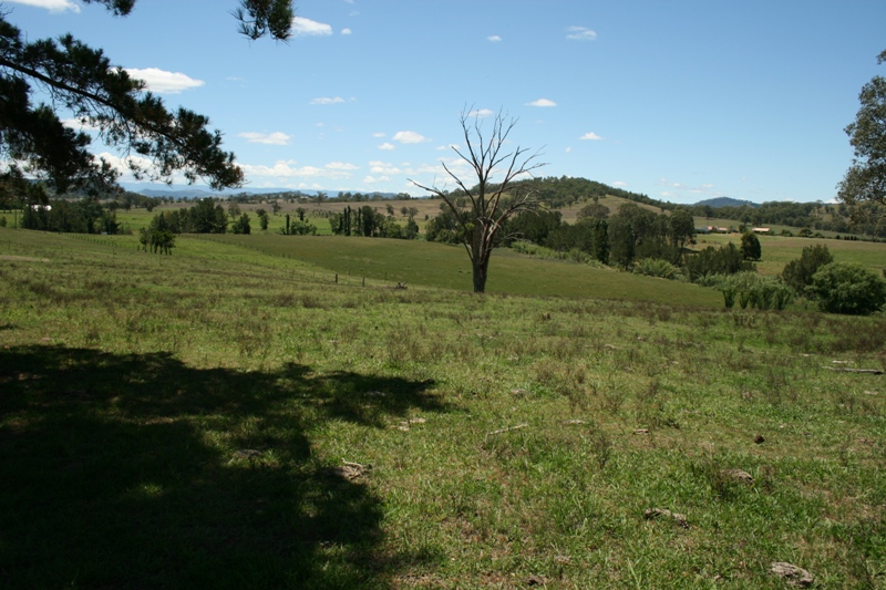 Ideal For Horse/Cattle Enthusiasts Picture 3