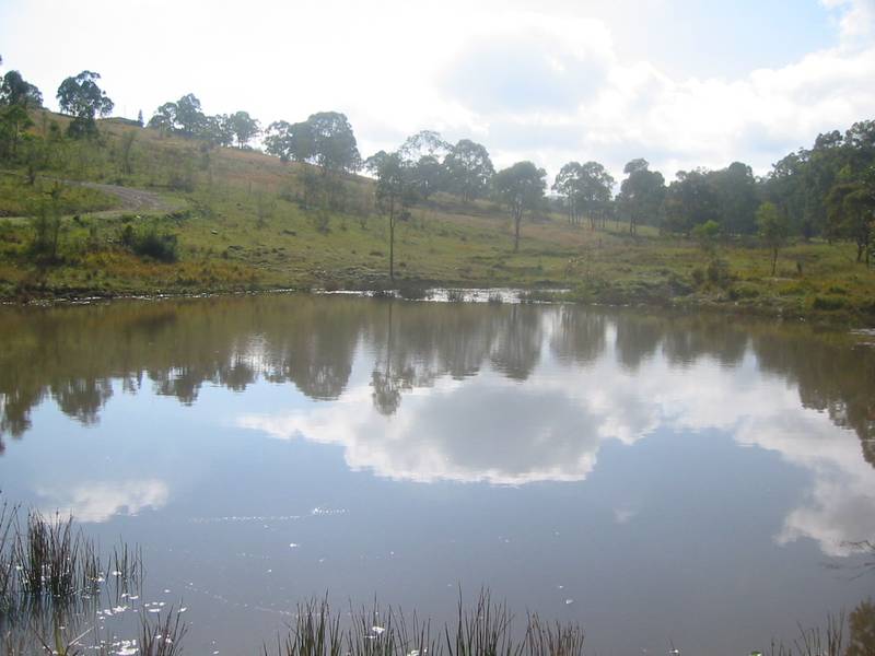 Clean Country Living Picture 2