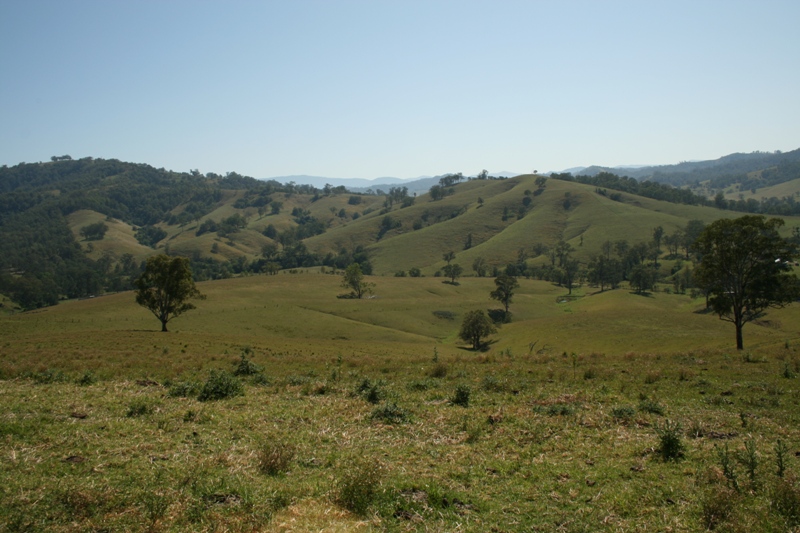 Excellent Location, For The Serious Grazier Picture 3