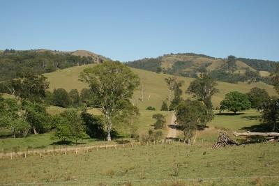 Excellent Location, For The Serious Grazier Picture