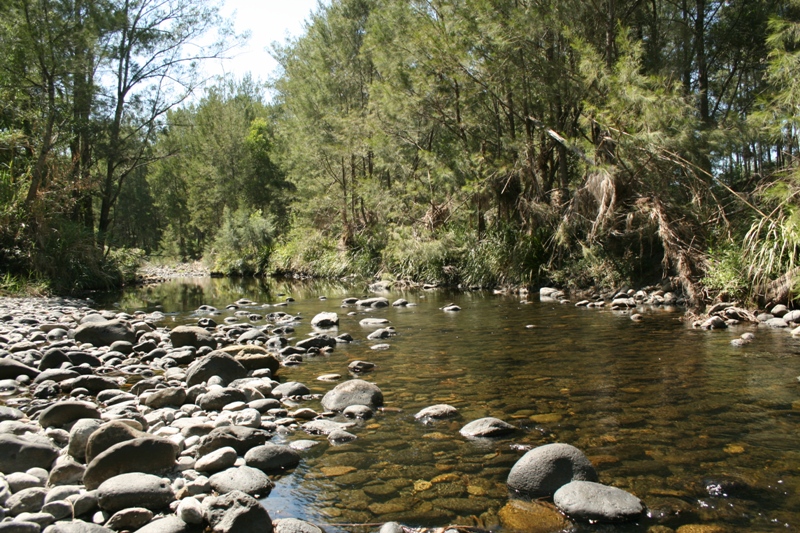 Excellent Location, For The Serious Grazier Picture 2
