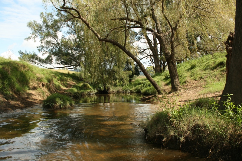 Location, Presentation and Improvements Picture 1