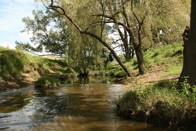 Location, Presentation and Improvements Picture