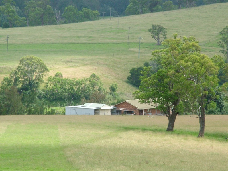 Peaceful Country Living Picture 2