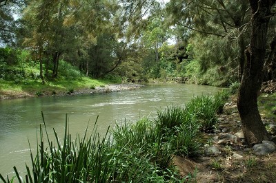 Peaceful Country Living Picture