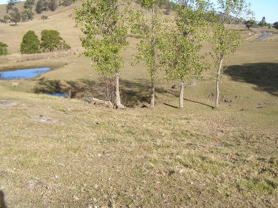 Dungog Picture Dungog Picture