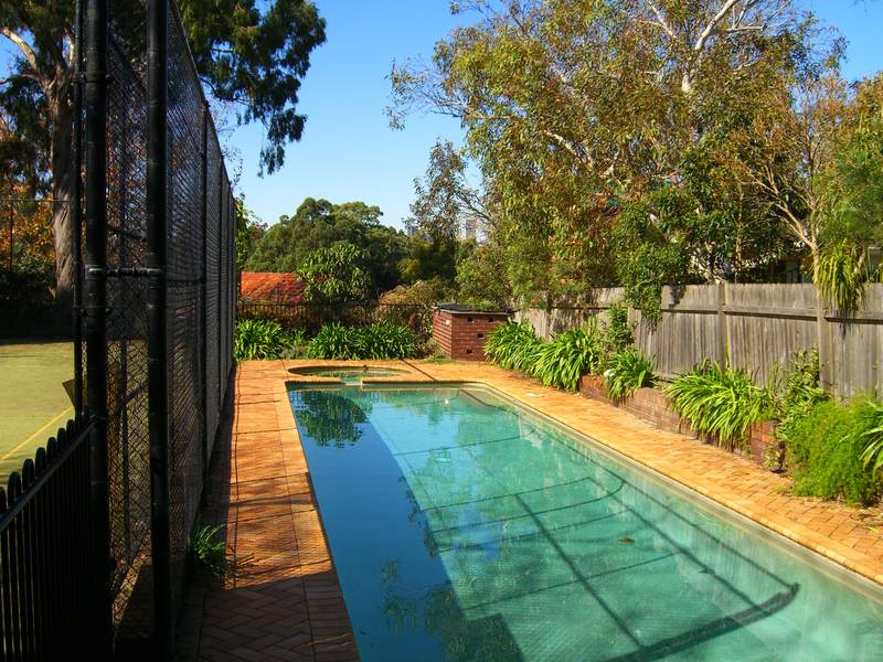 Massive Proportions! Picture 2