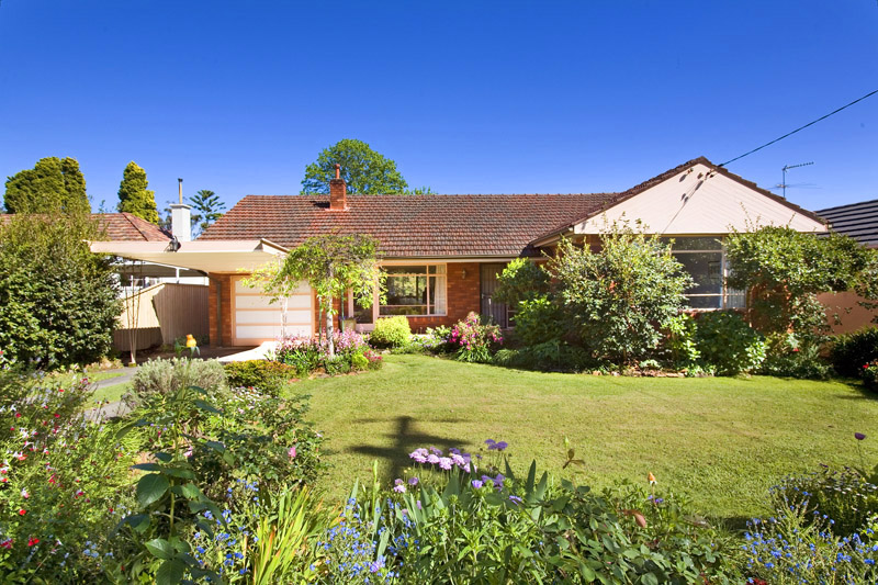 Position & Potential Picture 1