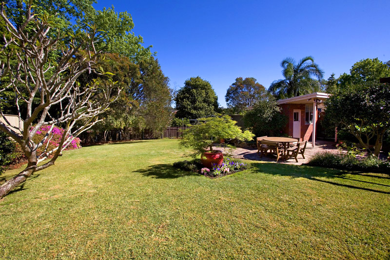 Position & Potential Picture 3