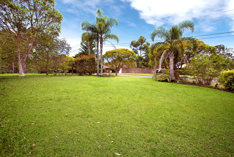 OPPORTUNITY KNOCKS Picture 2