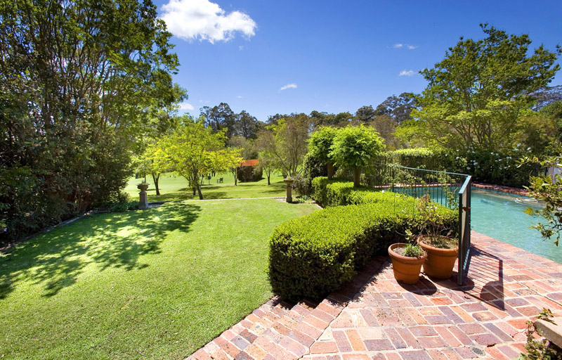 THE ENTERTAINER Picture 3