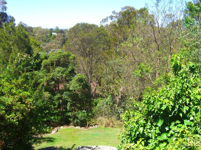 LAND......LAND......AND MORE LAND Picture 2