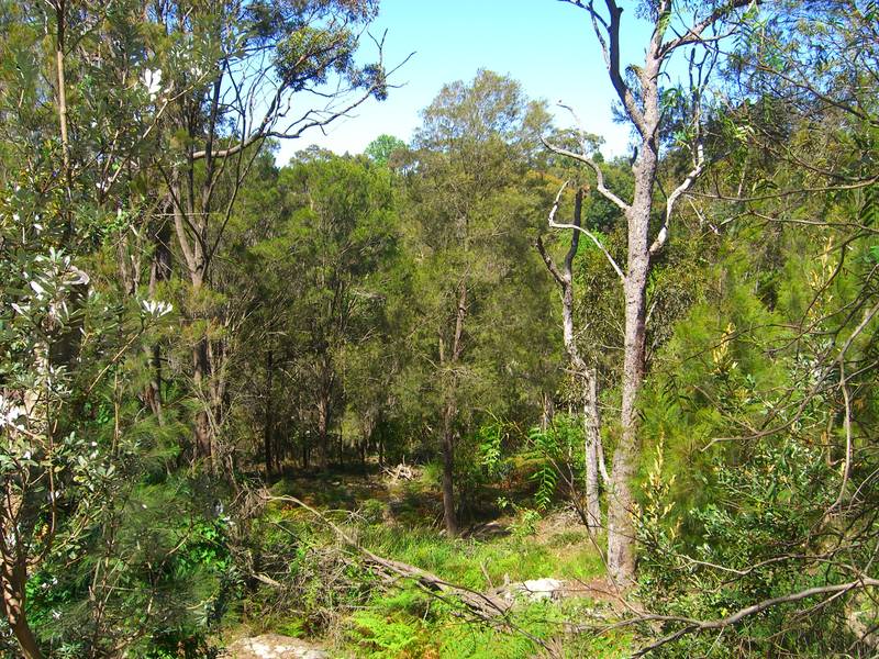 LAND......LAND......AND MORE LAND Picture 1