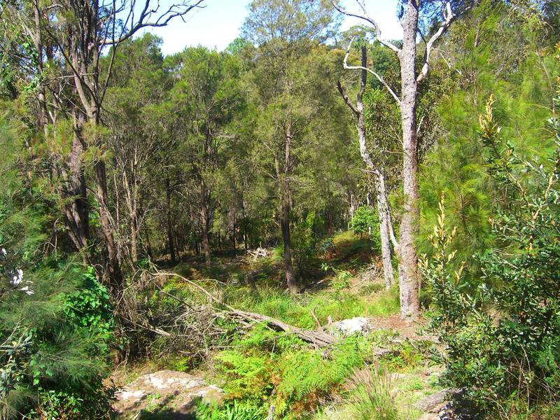 LAND......LAND......AND MORE LAND Picture 3