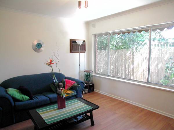 Dressed to Impress! Picture 2