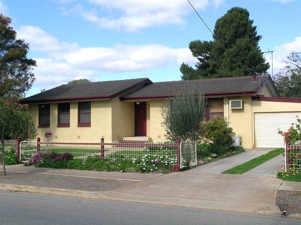 A Perfect Starter Picture