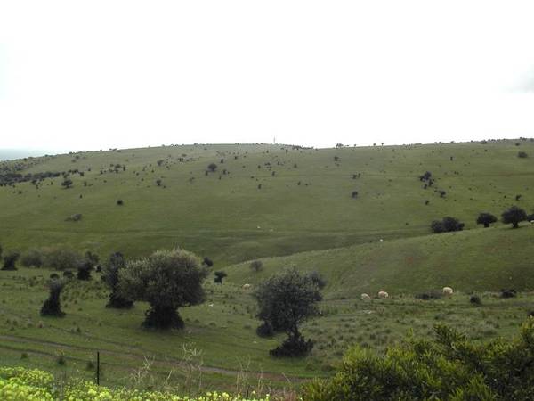 A Rare Find! Picture