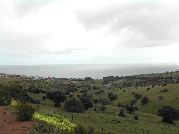 A Rare Find! Picture