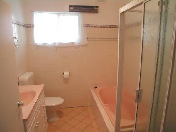 What a Beauty Picture