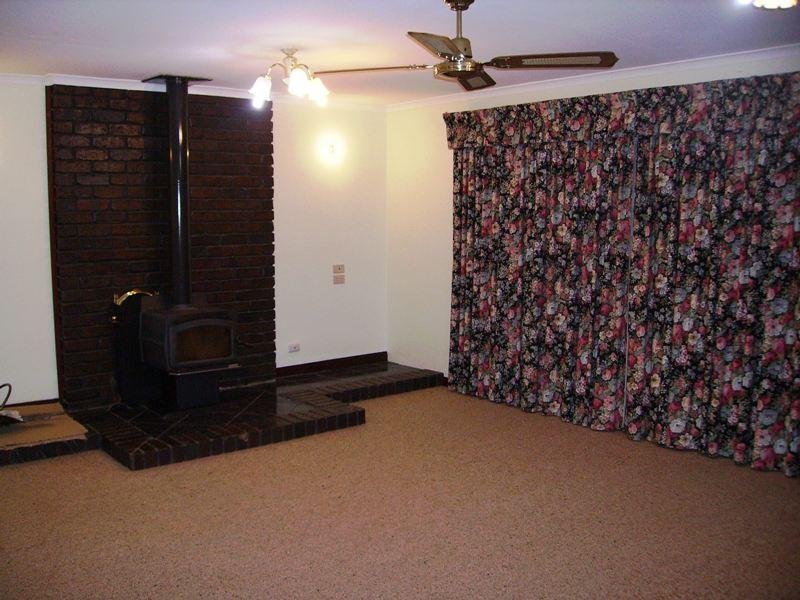 Summer Lovin' Picture