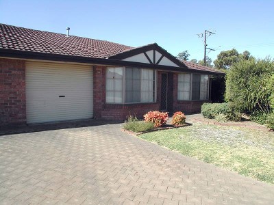 Surprise Package Picture