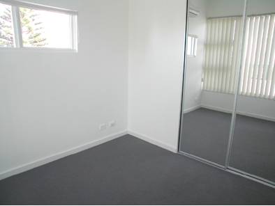 Summer Lovin' Picture