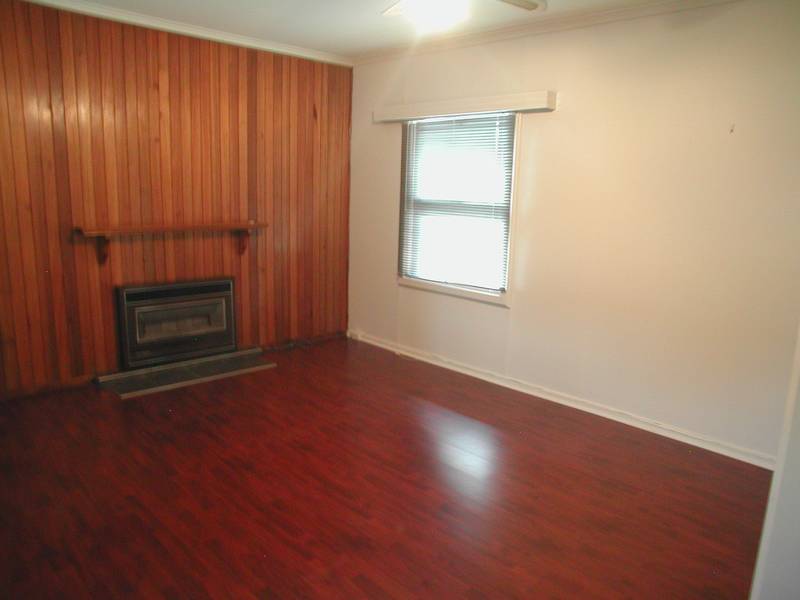 Close To Everything Picture