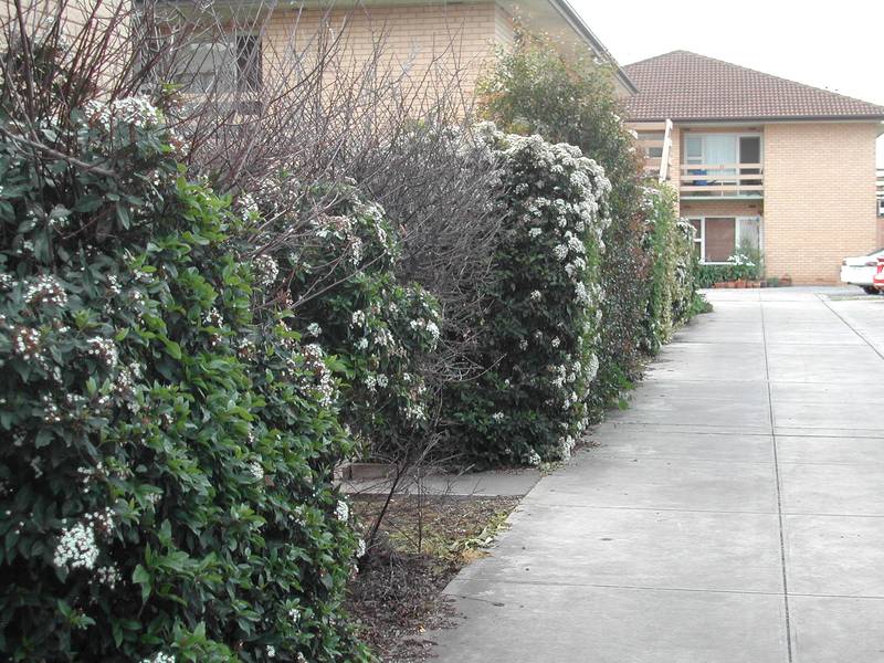 Pick of the Group Picture 1