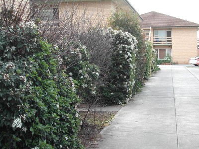 Pick of the Group Picture