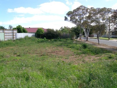 Build Your Dream Picture Build Your Dream Picture