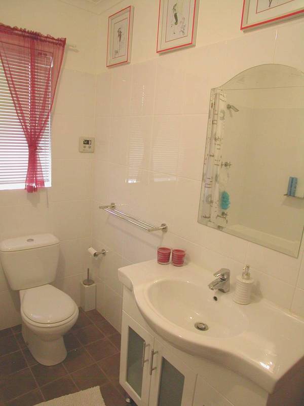 Own front and rear yards Picture 2